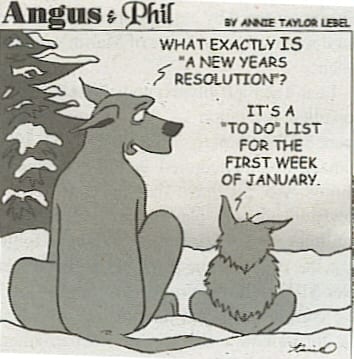new_year_s_eve-new_year_s-resolutions-6
